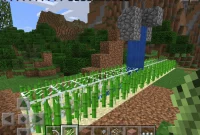 Cara Membuat Automatic Sugarcane Farm di Minecraft