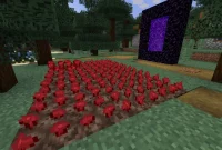 Cara Menggunakan Automatic Nether Wart Farm di Minecraft