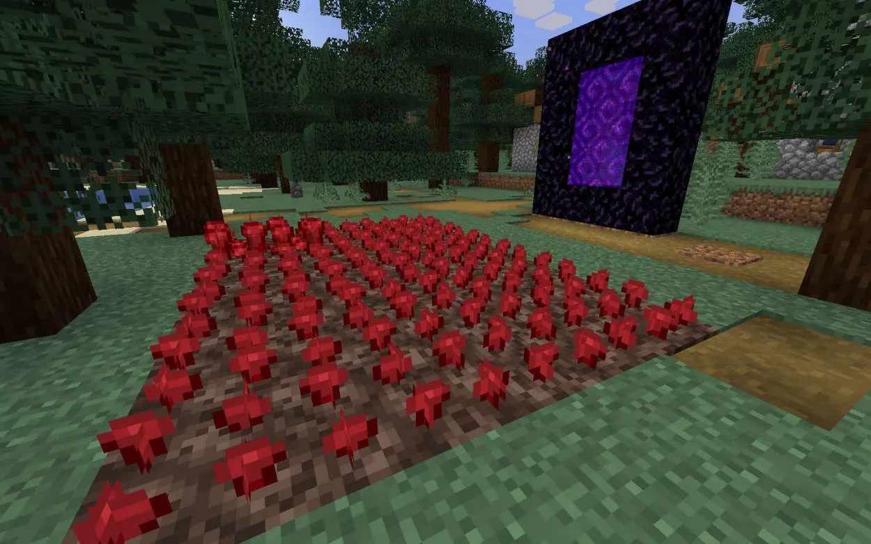 Cara Menggunakan Automatic Nether Wart Farm di Minecraft