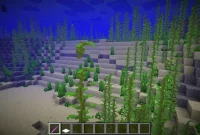 Meningkatkan Keterampilan Bermain dengan Automatic Kelp Farm di Minecraft